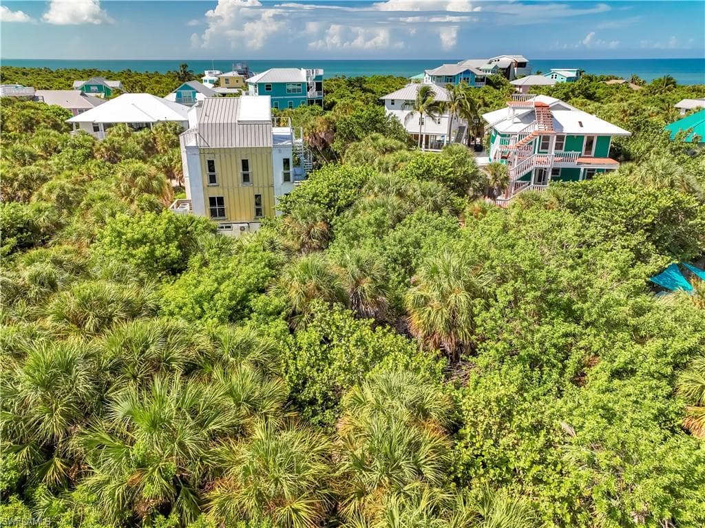 4531 Conch Shell DR-30