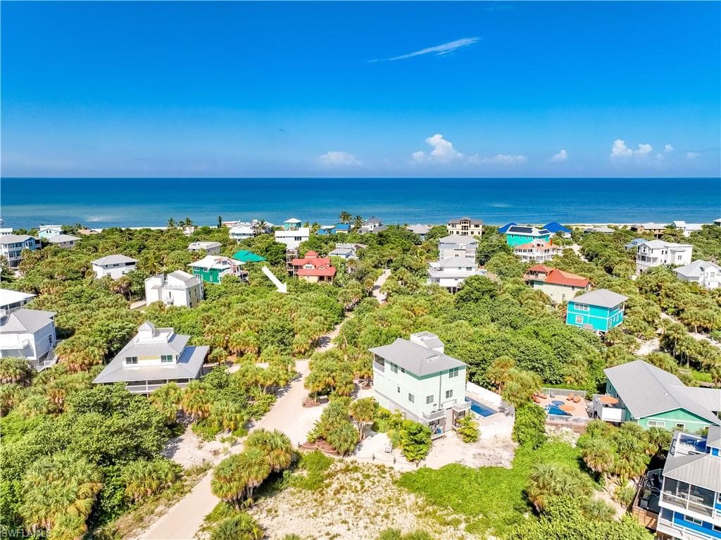 4531 Conch Shell DR-10