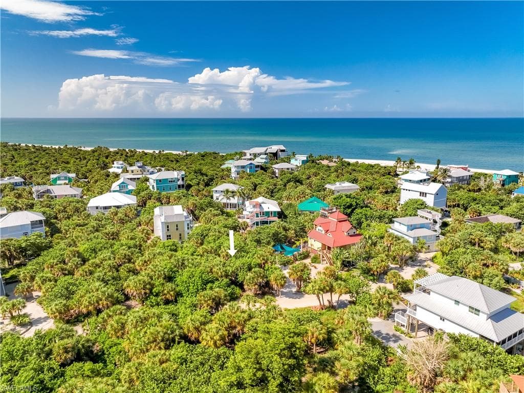 4531 Conch Shell DR-11