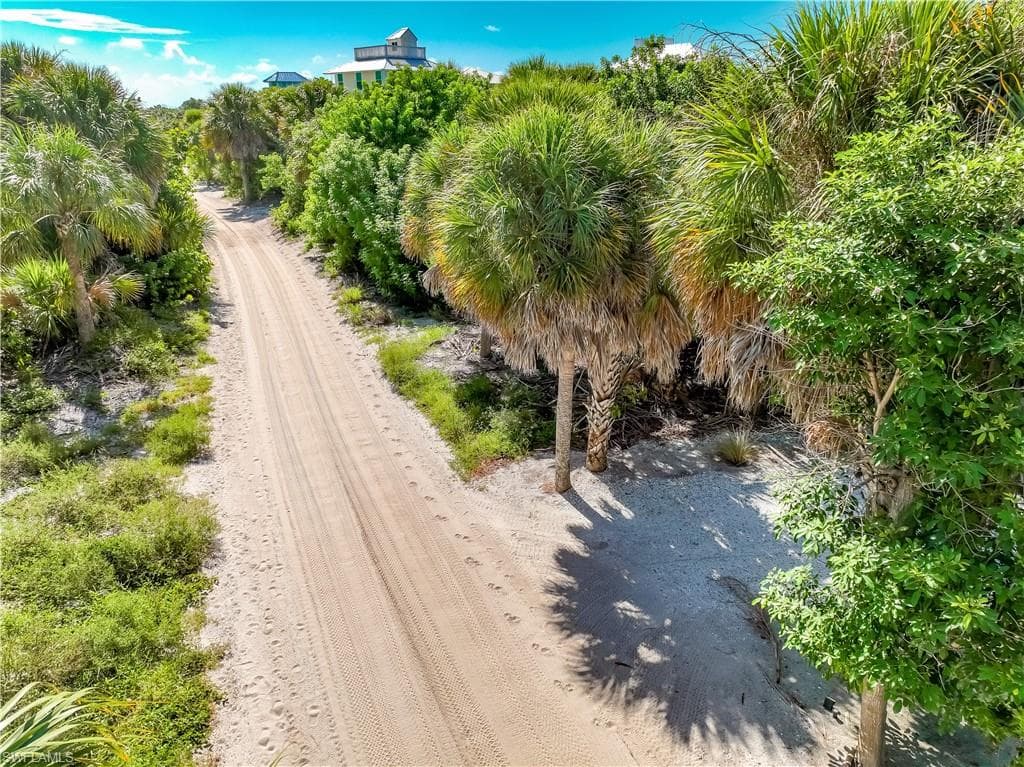 4531 Conch Shell DR-29