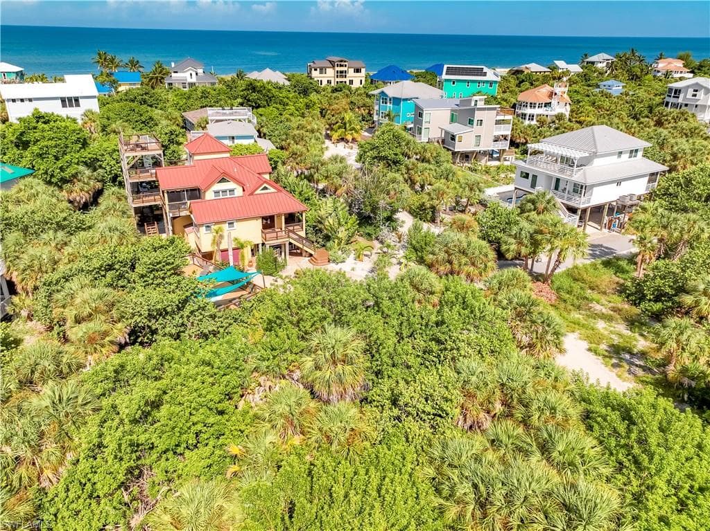 4531 Conch Shell DR-4
