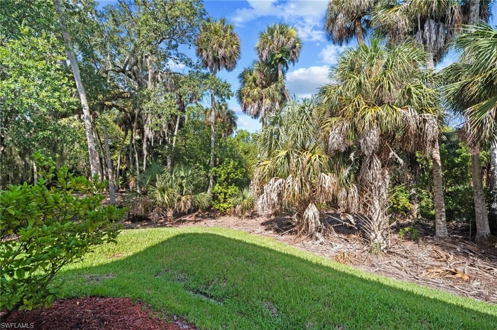 15141 Piping Plover CT 101-23