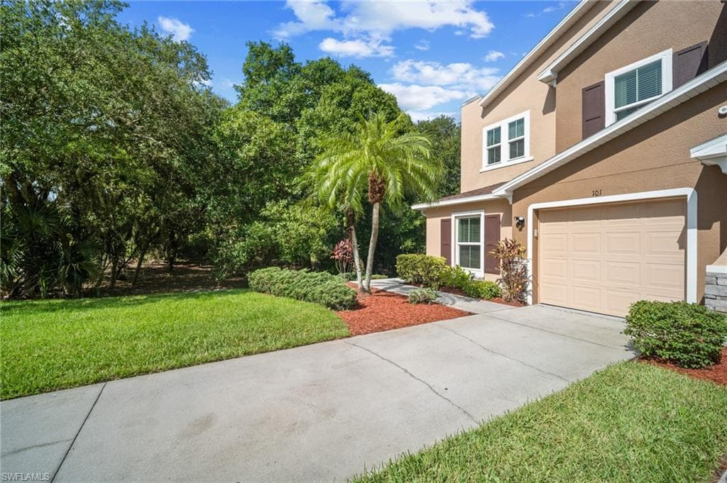 15141 Piping Plover CT 101-2