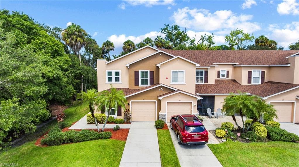 15141 Piping Plover CT 101-1