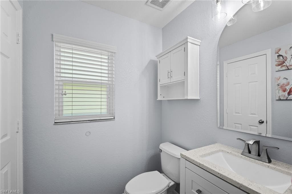 15141 Piping Plover CT 101-11