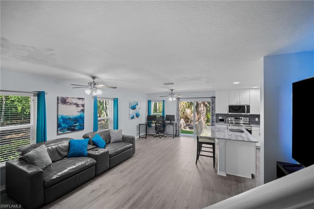 15141 Piping Plover CT 101-3