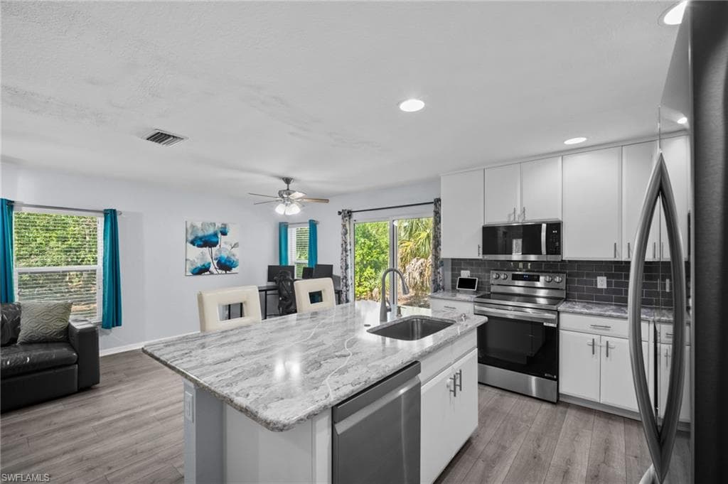 15141 Piping Plover CT 101-8