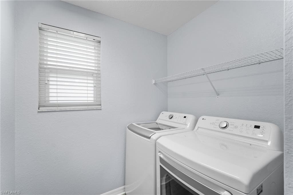 15141 Piping Plover CT 101-21