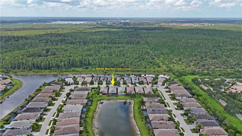 28658 Montecristo LOOP-38