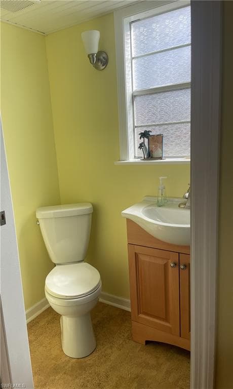5230 Pineland Daisy TRL-17