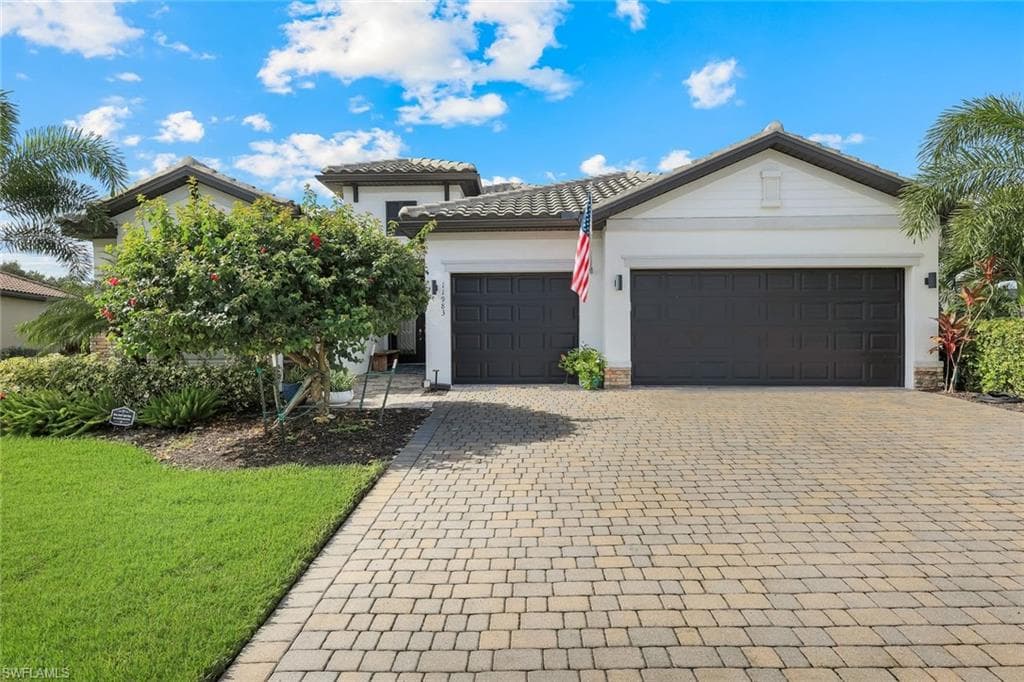 11983 Loblolly Pine CT-1