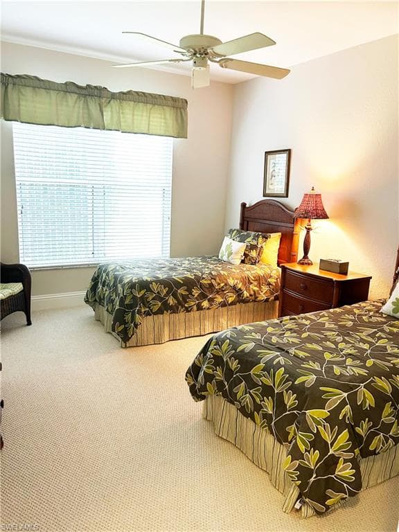 4991 Cerromar DR-16