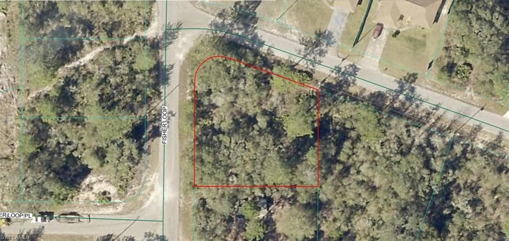 9035-1003-10 SW Fisher LOOP-1