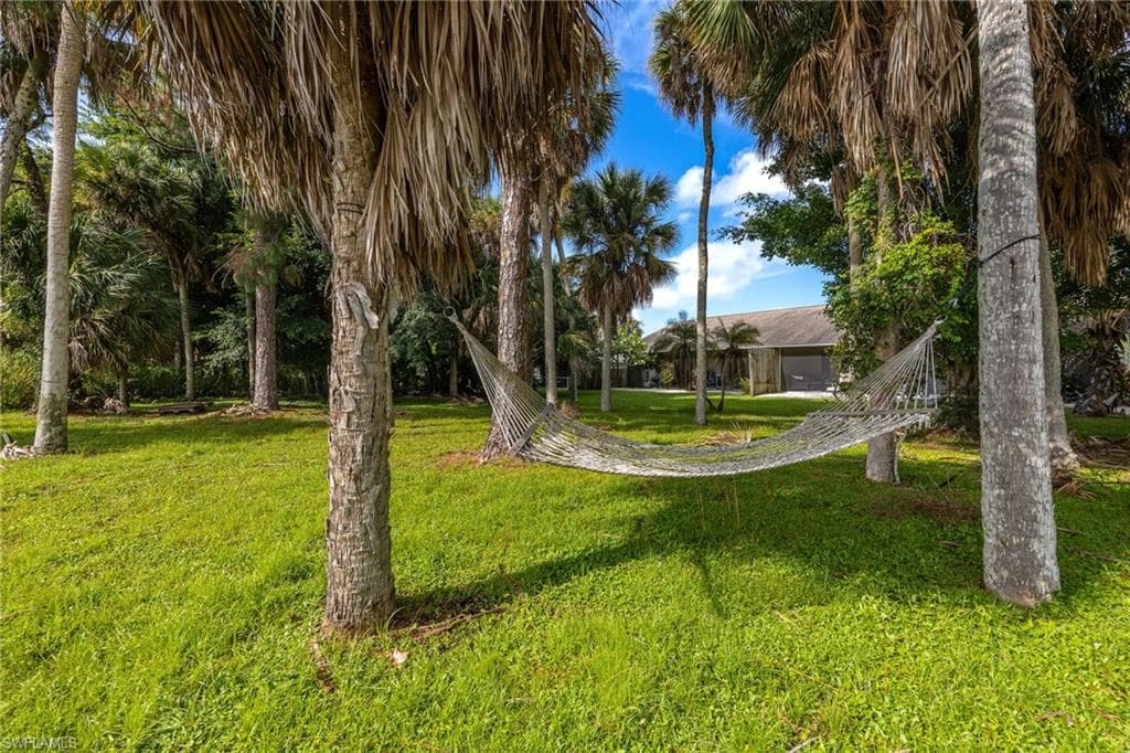 5815/5817 Littlestone CT-31