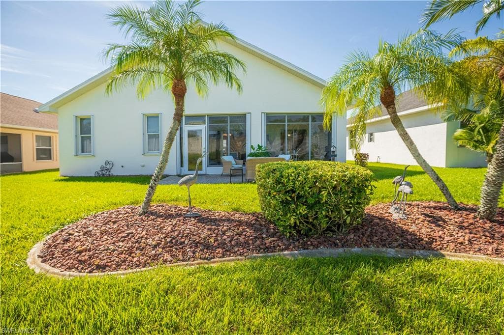 3821 Ponytail Palm CT-46
