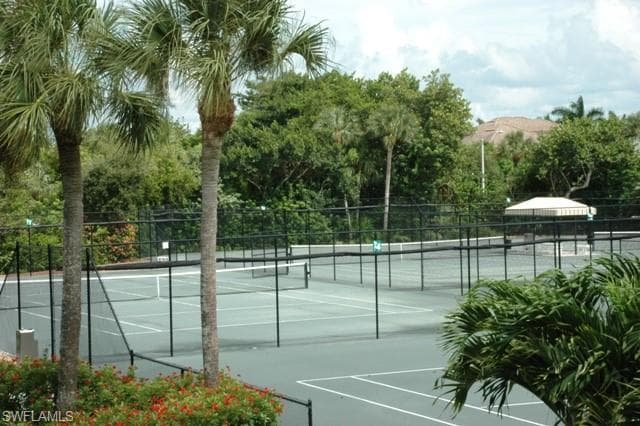 395 Gumbo Limbo LN-15
