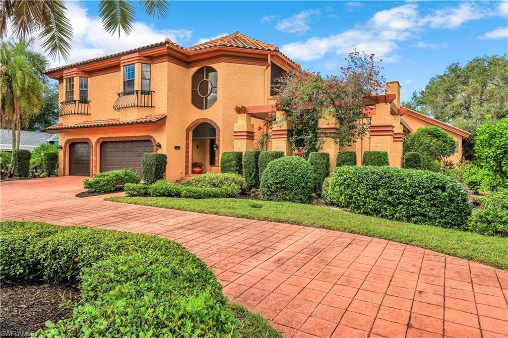 16614 Panther Paw CT-43