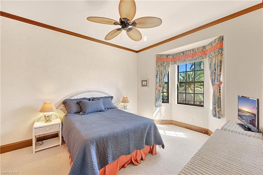 16614 Panther Paw CT-32