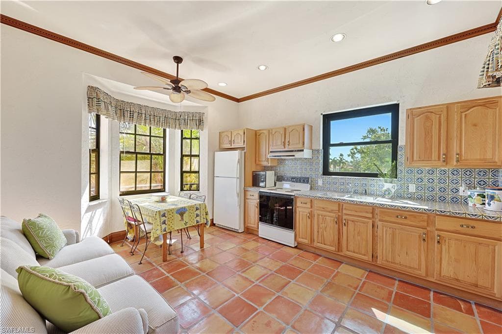 16614 Panther Paw CT-30