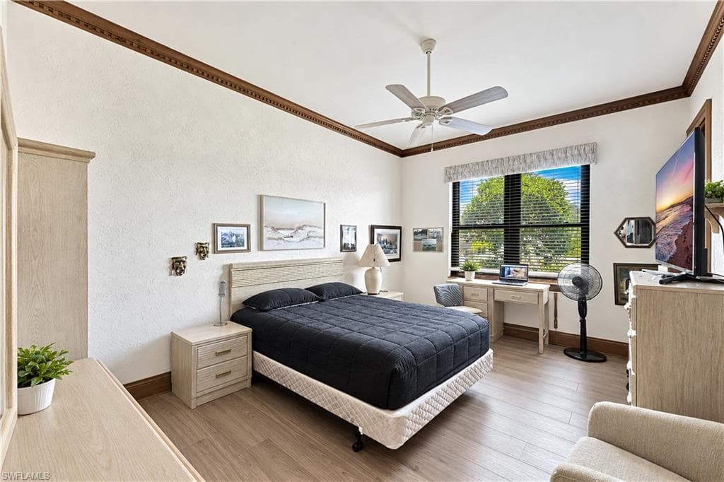 16614 Panther Paw CT-19