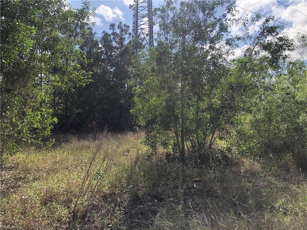 19665 Immokalee Rd, Naples, FL 34120-11