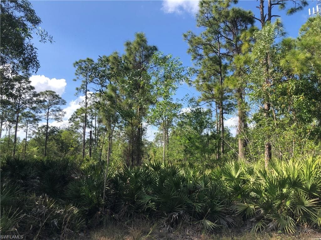 19665 Immokalee Rd, Naples, FL 34120-13