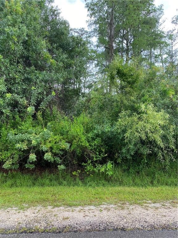 16th St NE, Naples, FL 34120-1