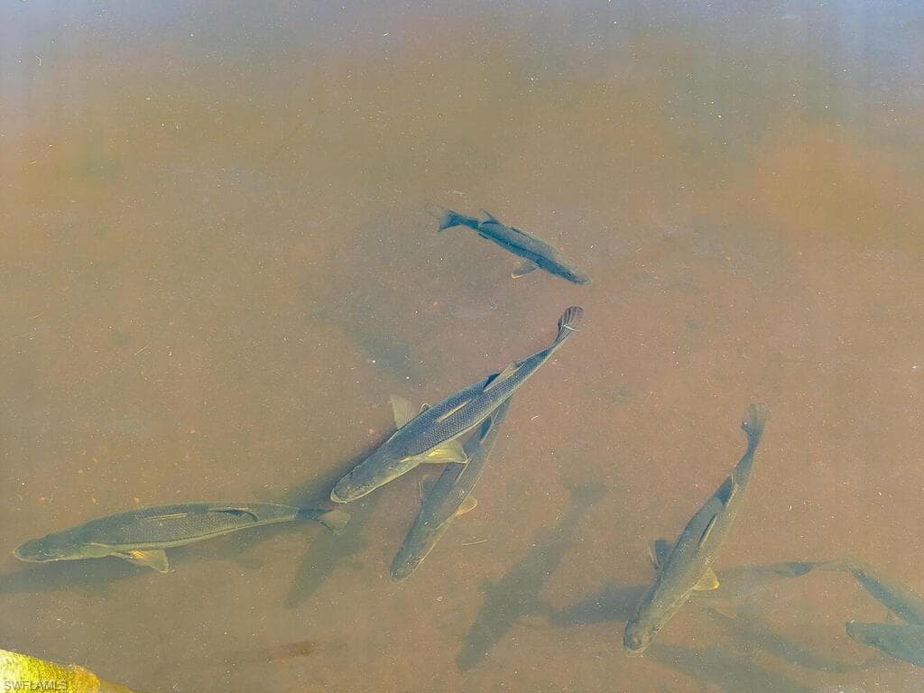 525 Newport Dr, Naples, FL 34114-13