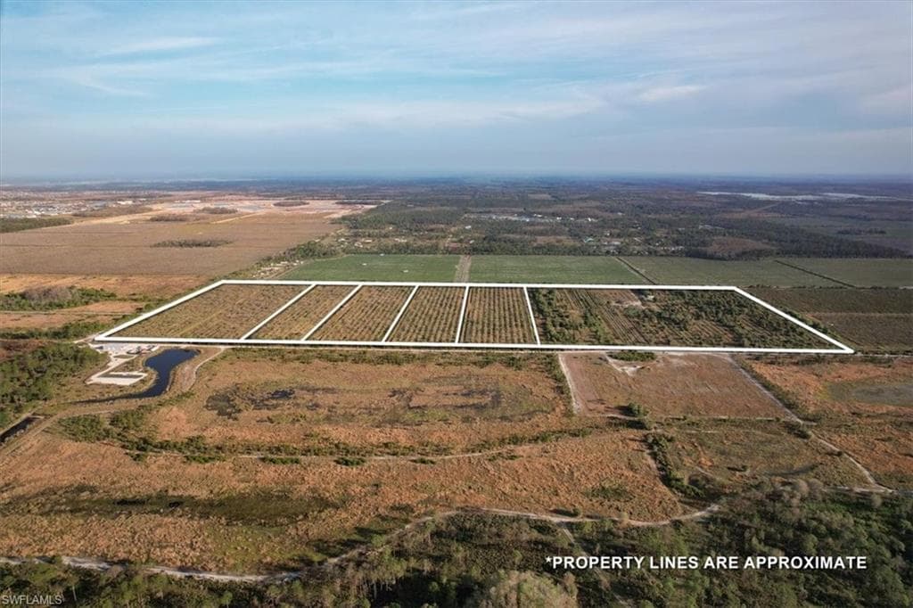 21979 Carter Rd, Estero, FL 33928-4