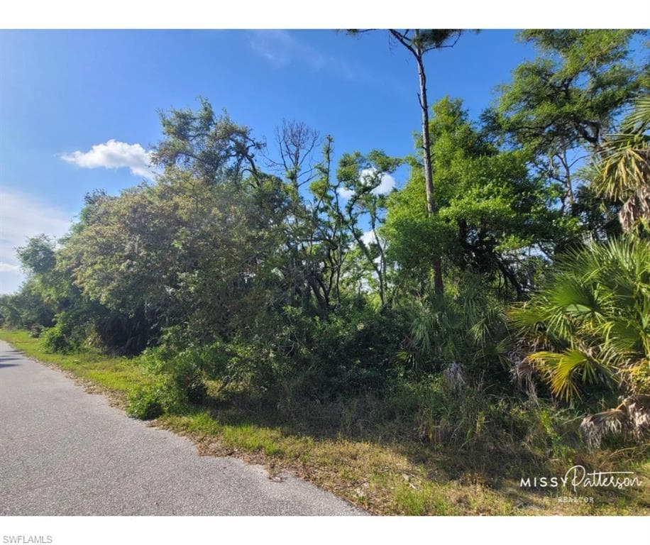 17108 Greenan Ave, Port Charlotte, FL 33948-3