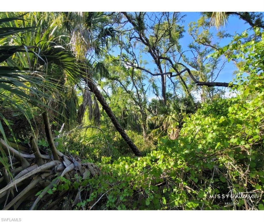 17108 Greenan Ave, Port Charlotte, FL 33948-5