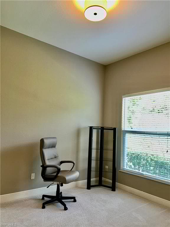 10283 Avonleigh Dr, Bonita Springs, FL 34135-45