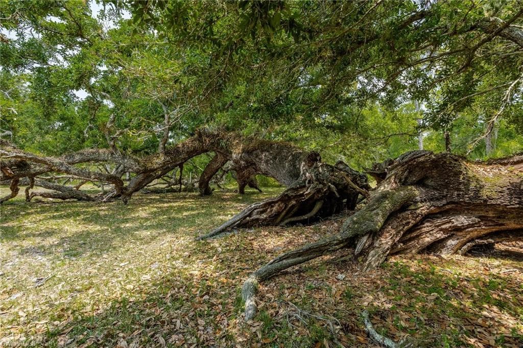 18301 Old Bayshore Rd, North Fort Myers, FL 33917-11