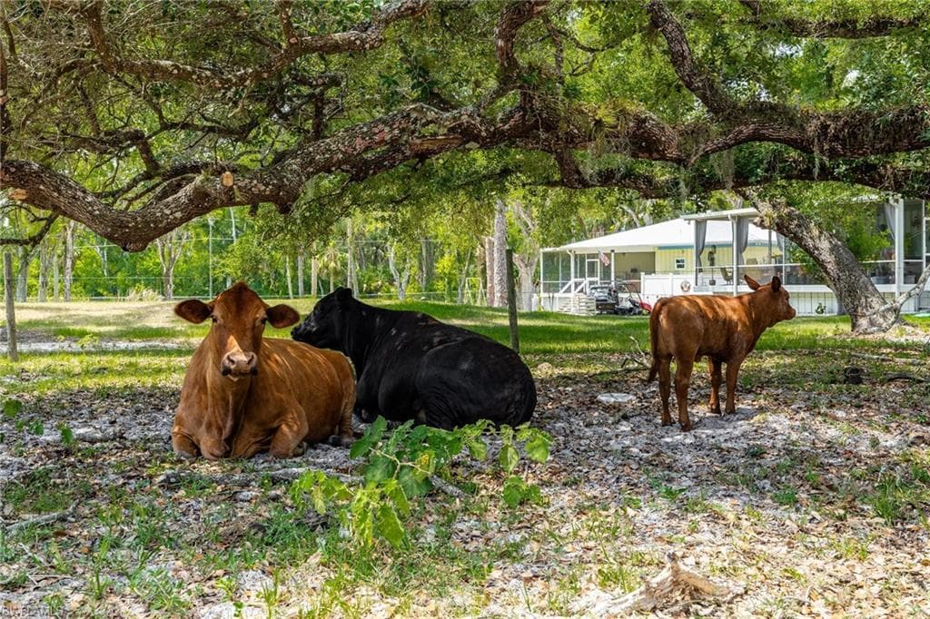 18301 Old Bayshore Rd, North Fort Myers, FL 33917-4