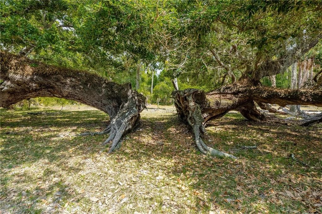 18301 Old Bayshore Rd, North Fort Myers, FL 33917-7