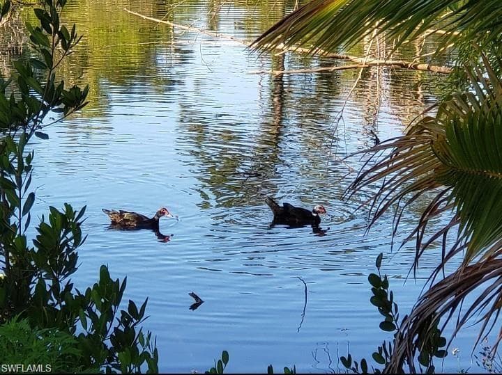 3200 Barrett Ave, Naples, FL 34112-6