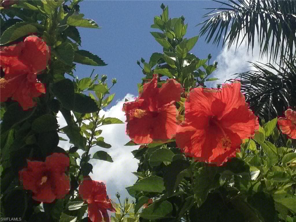 174 Collier Blvd 904, Marco Island, FL 34145-35