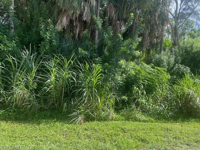 Xxx Pine Tree Dr, Naples, FL 34112-1
