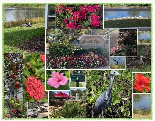 3357 Wildwood Lake Cir, Bonita Springs, FL 34134-36