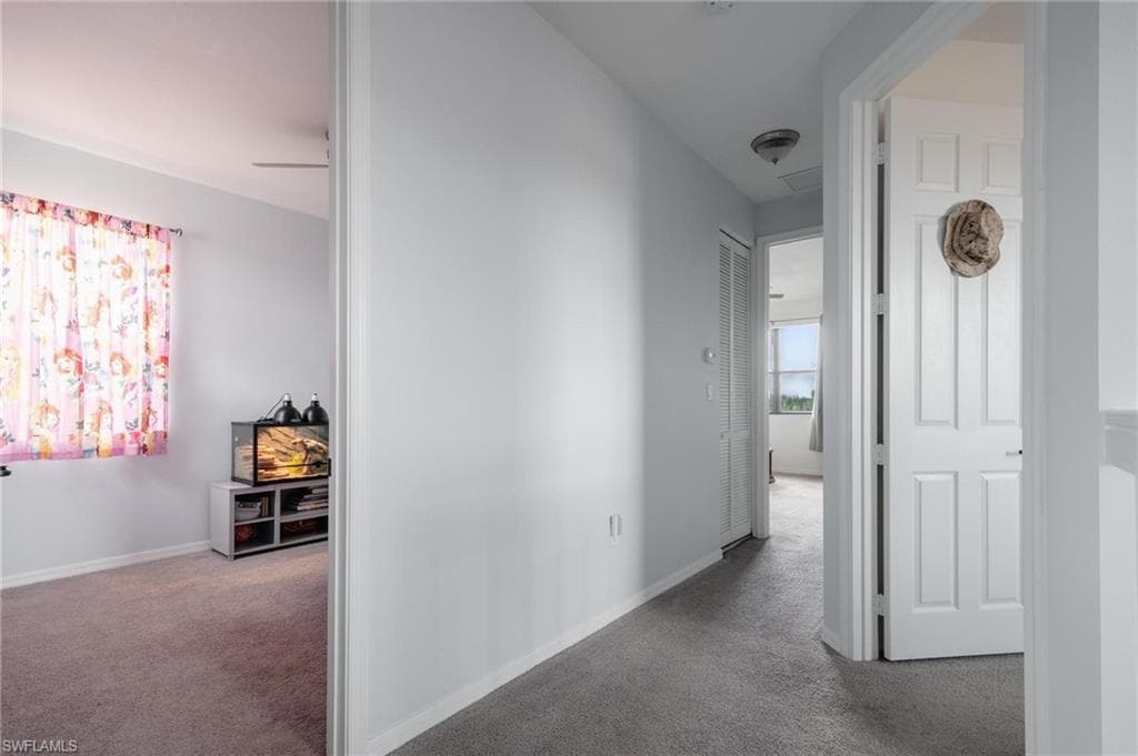 5519 Useppa Dr, Ave Maria, FL 34142-19