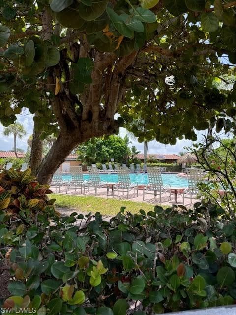 25000 Tamiami Trl E C128, Naples, FL 34114-3