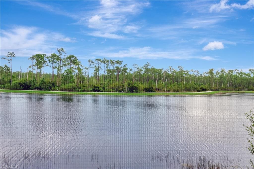 9637 Montelanico Loop 203, Naples, FL 34119-30