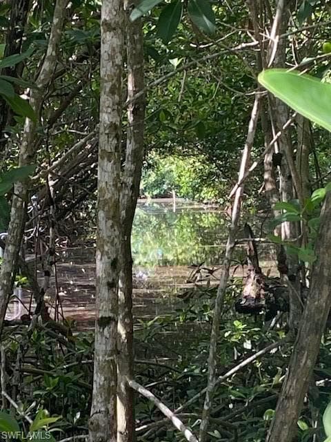 78 Otter Ave, Everglades City, FL 34139-5