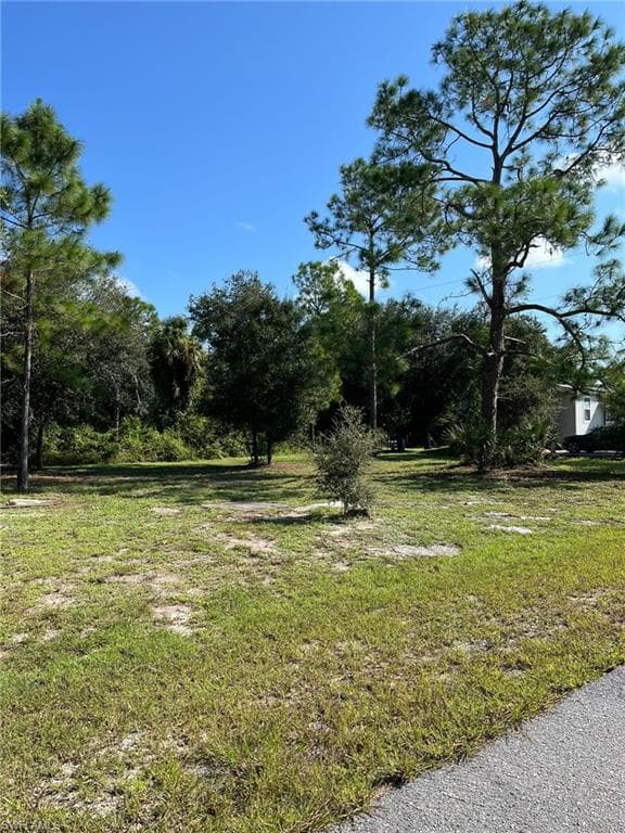 4003 20th St, Alva, FL 33920-17