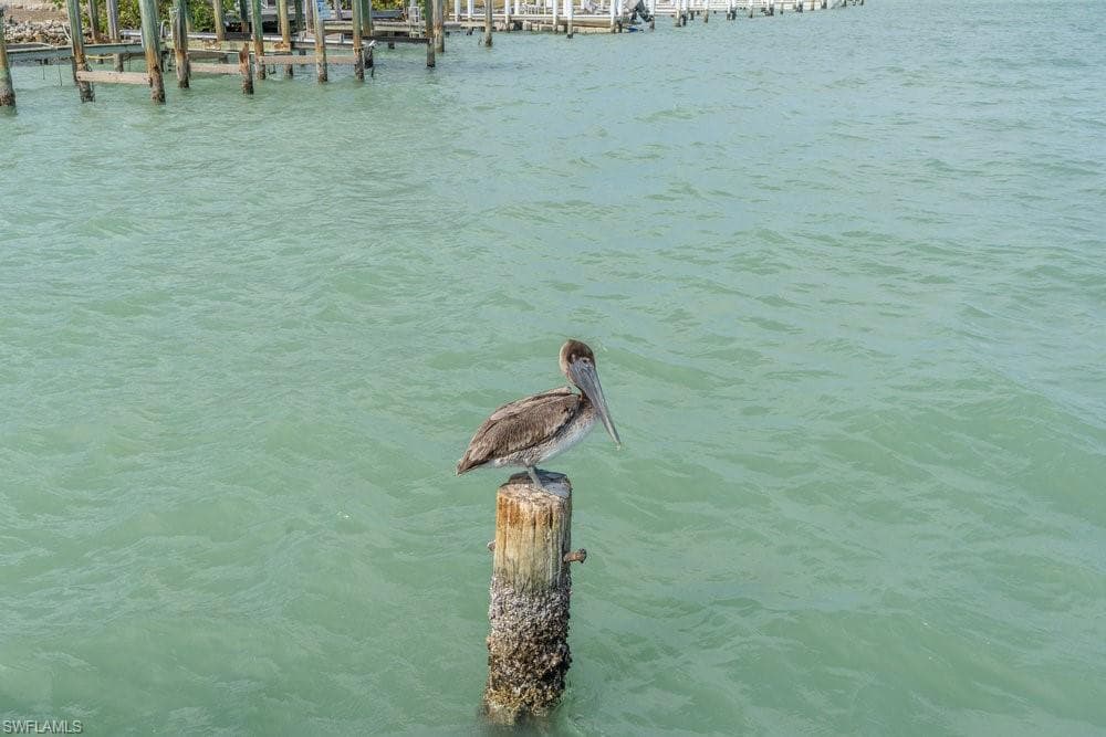 10 Tampa Pl Ph-2, Marco Island, FL 34145-30