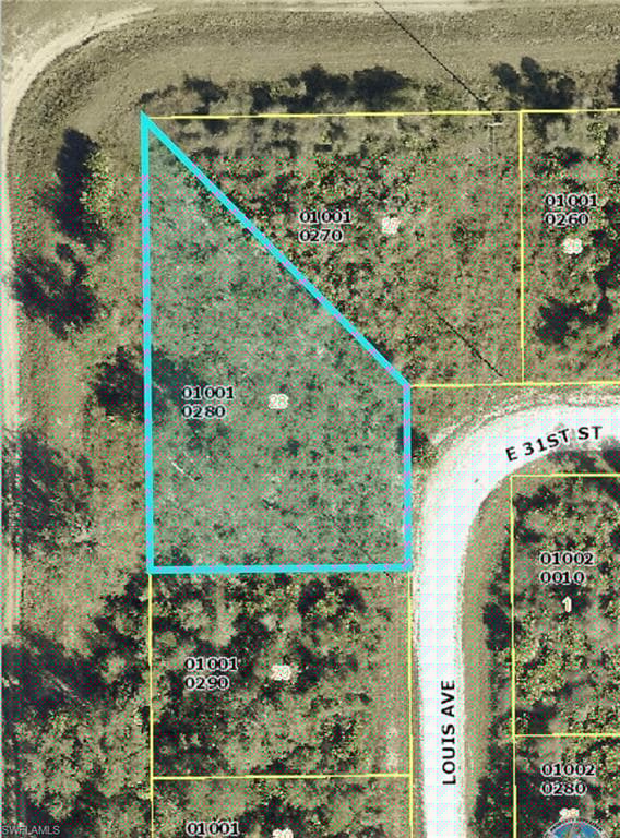 3005 Louis Ave, Alva, FL 33920-2