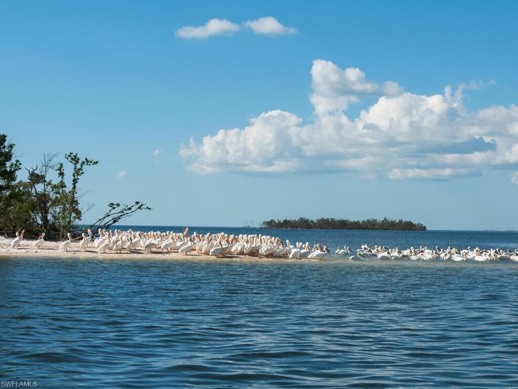 242 Newport Dr 504, Naples, FL 34114-48