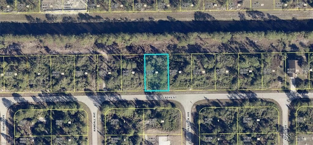 1035 Gladys St, Lehigh Acres, FL 33974-2