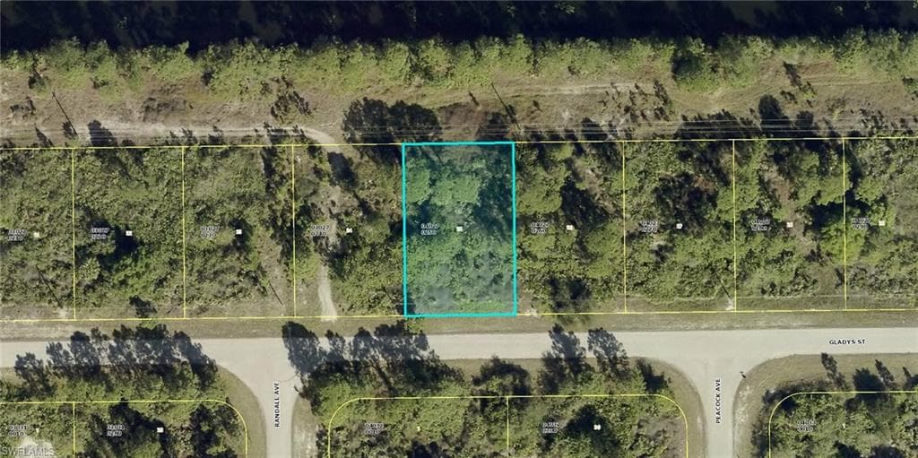 1033 Gladys St, Lehigh Acres, FL 33974-2