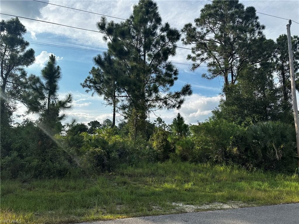 208 Hagan Ave S, Lehigh Acres, FL 33974-3